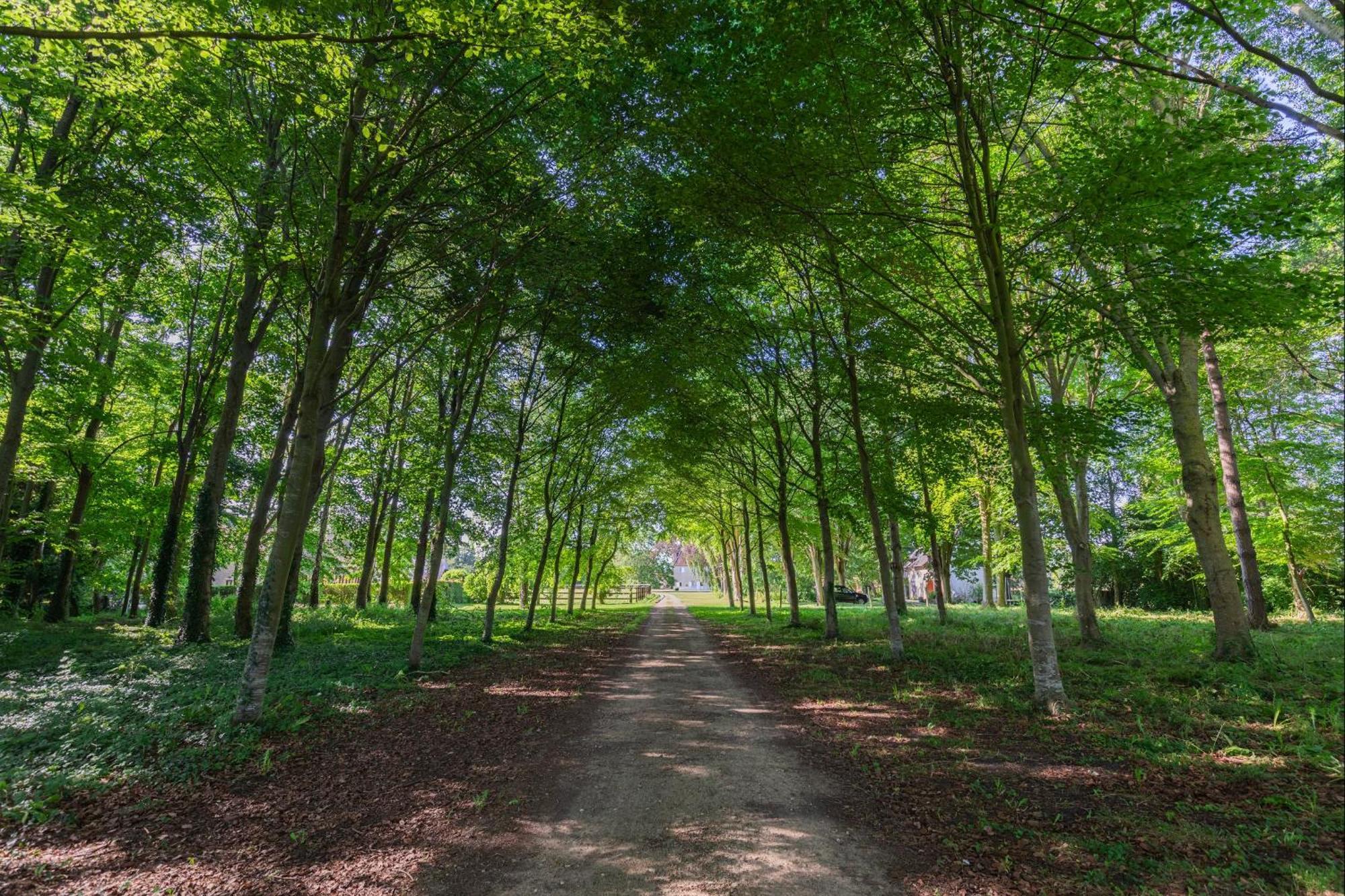 Vila Bagatelle Avec Jardin Et Piscine Chauffee Bieville-en-Auge Exteriér fotografie