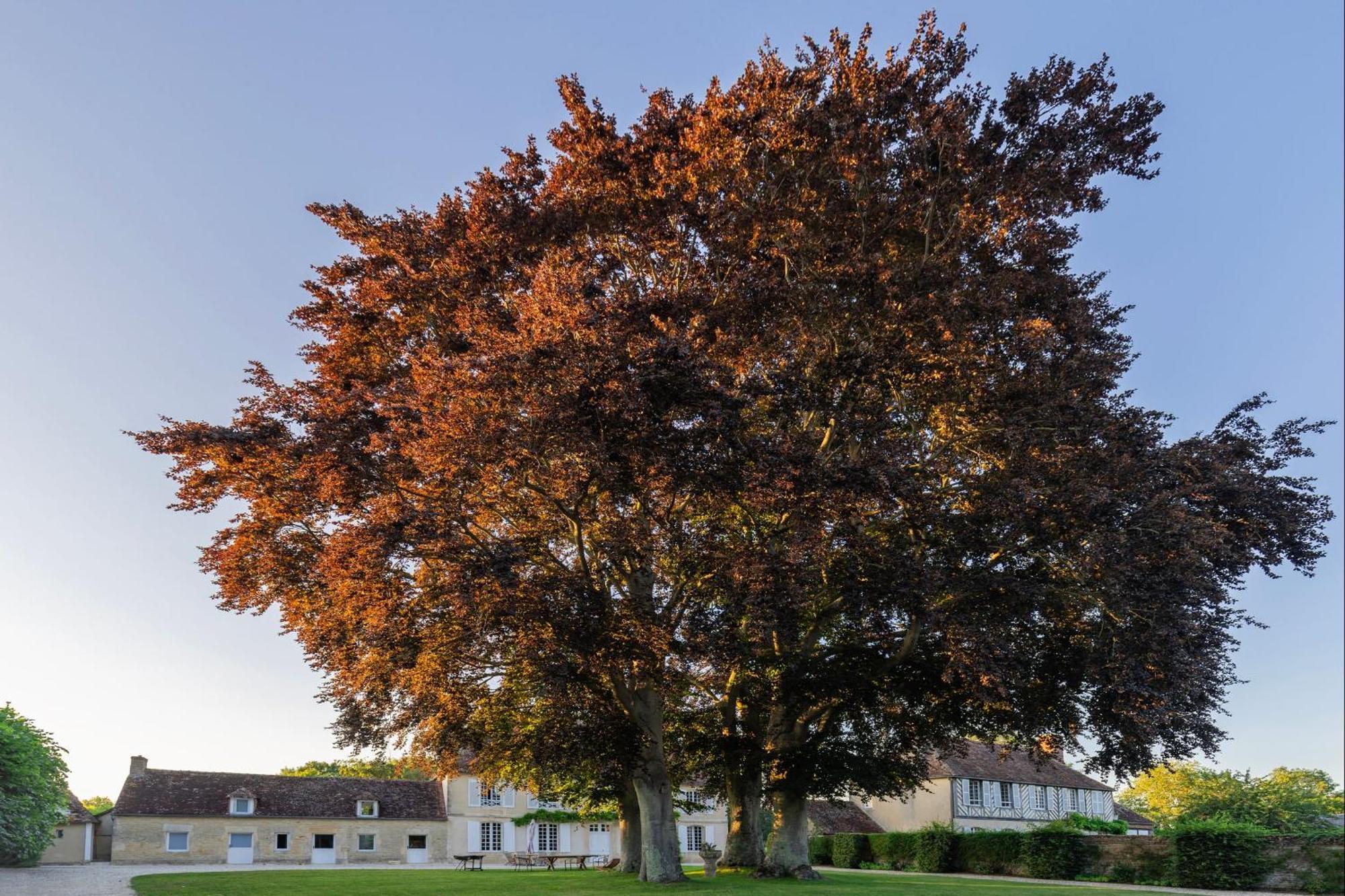 Vila Bagatelle Avec Jardin Et Piscine Chauffee Bieville-en-Auge Exteriér fotografie
