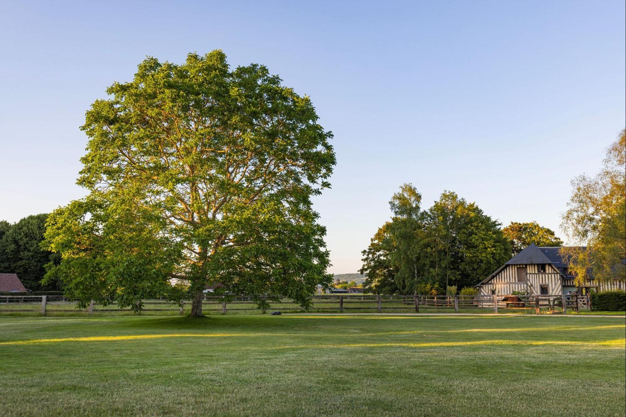 Vila Bagatelle Avec Jardin Et Piscine Chauffee Bieville-en-Auge Exteriér fotografie