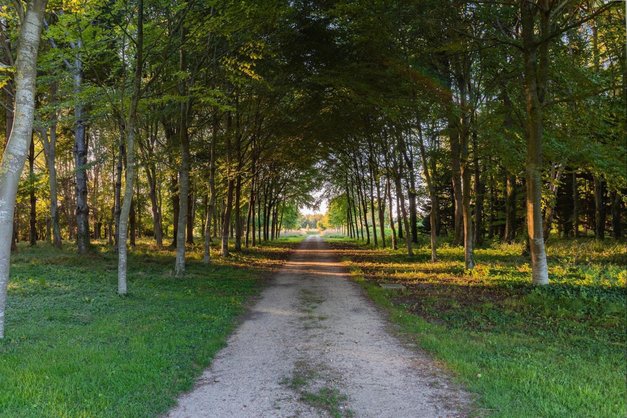 Vila Bagatelle Avec Jardin Et Piscine Chauffee Bieville-en-Auge Exteriér fotografie